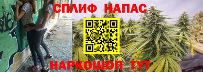 твердый Новозыбков