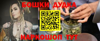 спиды Новодвинск