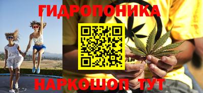 твердый Новозыбков