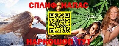 спиды Новодвинск