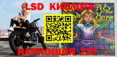 спиды Новодвинск