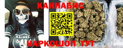 спиды Новодвинск
