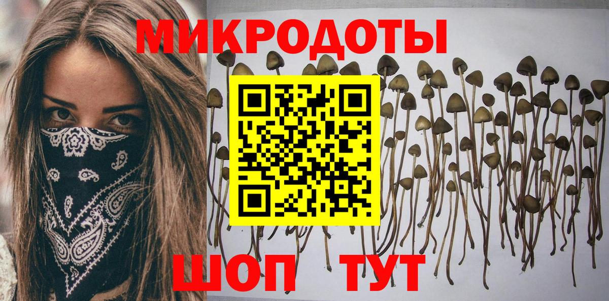 Саров  Псилоцибиновые грибы Psilocybine cubensis  Вход с VPN 