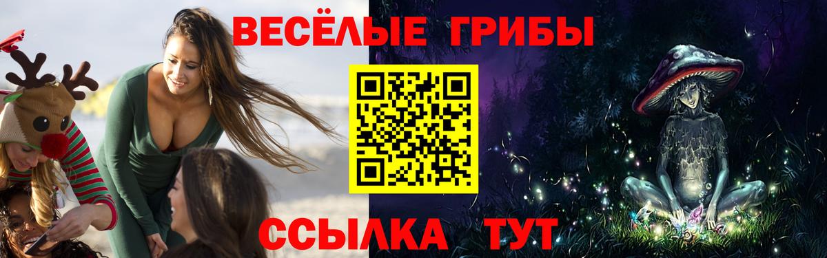 Галлюциногенные грибы мухоморы Саров